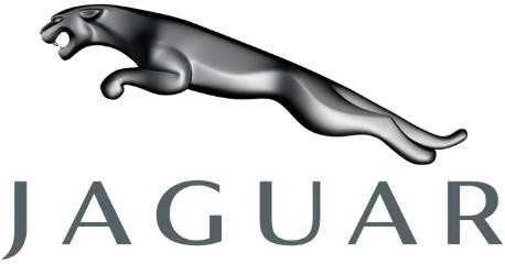 Naujas originalus Jaguar vamzdžio išleidimas AJ813865 OEM
