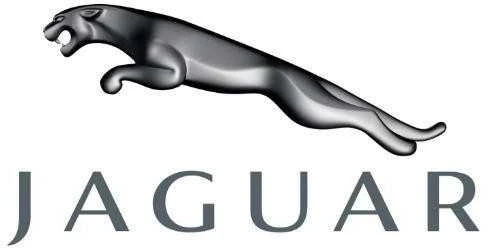 Naujas originalus Jaguar žarna C2Z4547 OEM