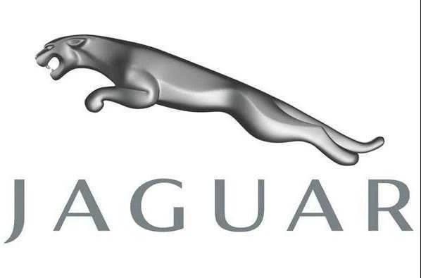 OEM JAGUAR F-PACE X761 GAUBTAI T4A13702 ORIGINALUS
