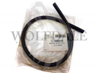 OEM JAGUAR XJ X300 PRIEKINIO LANGO VALYTUVŲ AŠMENŲ ĮDĖKLAS GNB8961AA ORIGINALUS