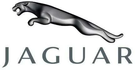 OEM JAGUAR XK X150 ORA ĮSIURBIMO VAMZDIS C2P2147 ORIGINALUS