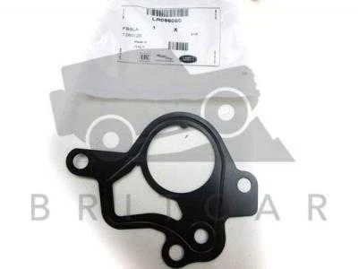 OEM LAND ROVER RANGE ROVER SPORT L494 VAKUUMO PUMPOS GUMOS LR096060 ORIGINALI
