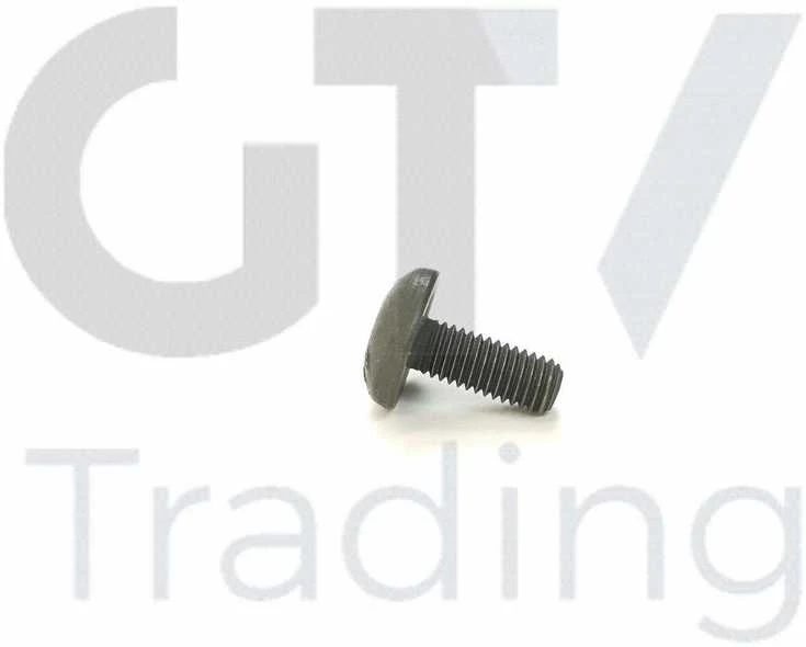 Originalus BMW 1 2 3 4 5 6 7 X1 X3 X4 X5 X6 Z4 2005 ir vėliau Torx varžtas 11417520144
