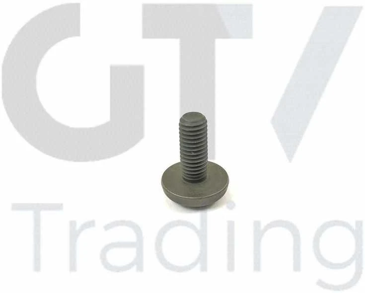 Originalus BMW 1 2 3 4 5 6 7 X1 X3 X4 X5 X6 Z4 2005 ir vėliau Torx varžtas 11417520144