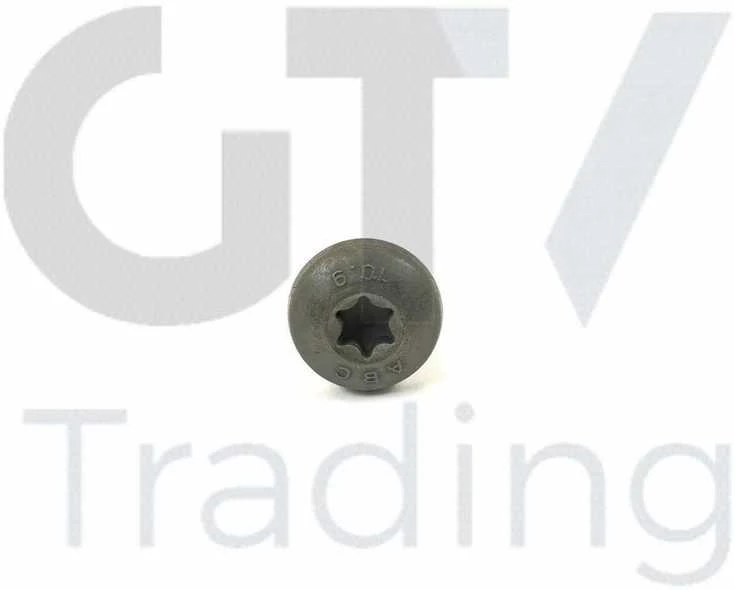 Originalus BMW 1 2 3 4 5 6 7 X1 X3 X4 X5 X6 Z4 2005 ir vėliau Torx varžtas 11417520144