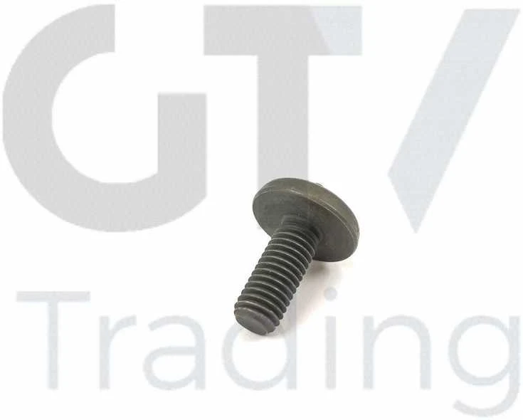 Originalus BMW 1 2 3 4 5 6 7 X1 X3 X4 X5 X6 Z4 2005 ir vėliau Torx varžtas 11417520144