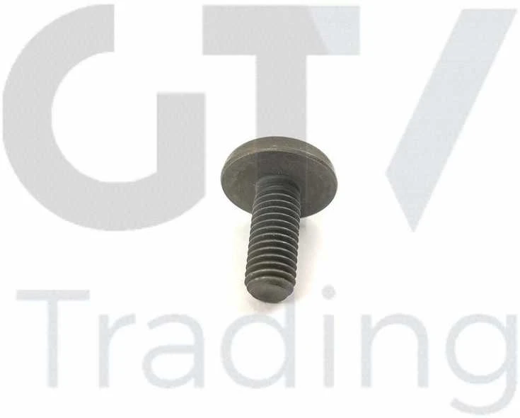 Originalus BMW 1 2 3 4 5 6 7 X1 X3 X4 X5 X6 Z4 2005 ir vėliau Torx varžtas 11417520144