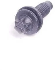 BMW durų vyrių Torx varžtas su tarpine ASA M8X22 originalus 07147248303
