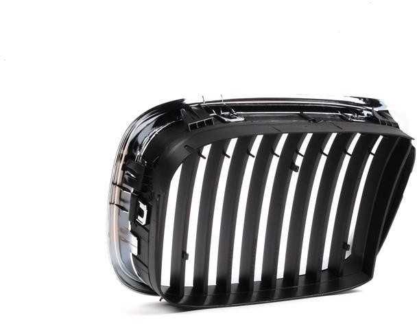 Originalus BMW E39 priekinis radiatoriaus inksto juodas groteles O/S OEM 51137005838