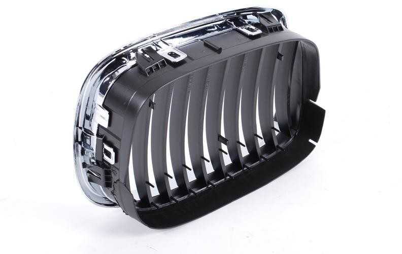 Originalus BMW E39 sedanas priekinis radiatoriaus inksto juodas groteles N/S OEM 51137005837