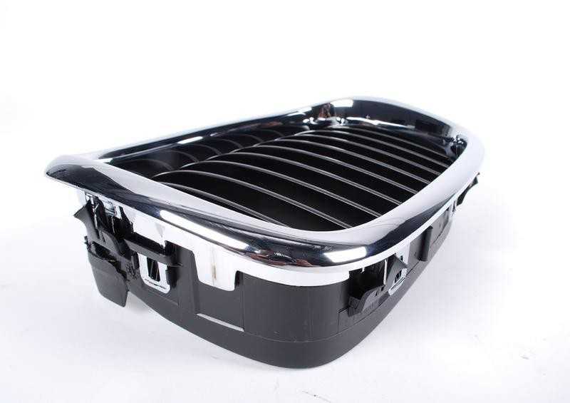 Originalus BMW E39 sedanas priekinis radiatoriaus inksto juodas groteles N/S OEM 51137005837