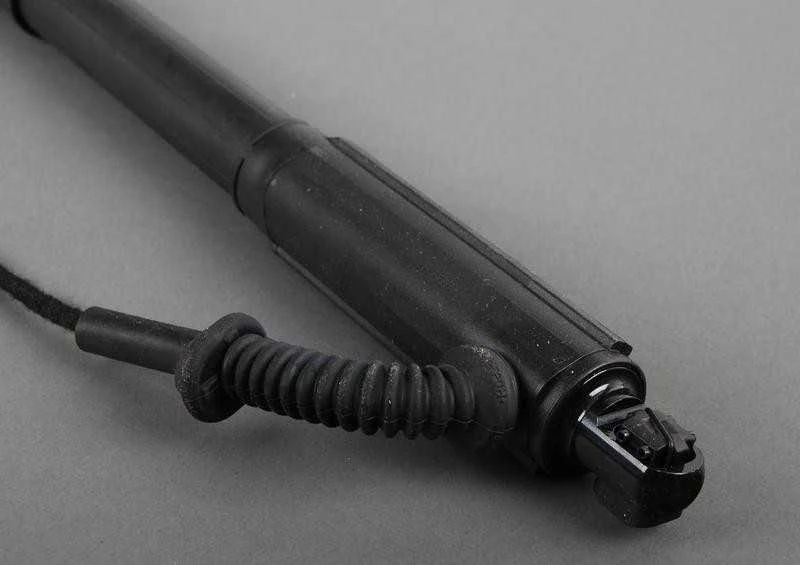 Originalus BMW E70 E70N SUV bagažinės dangčio ašis dešinė OEM 51247332696