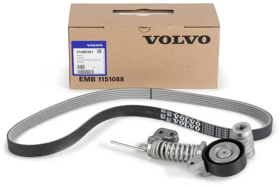 Originalus "Volvo" V formos diržų rinkinys 31480361