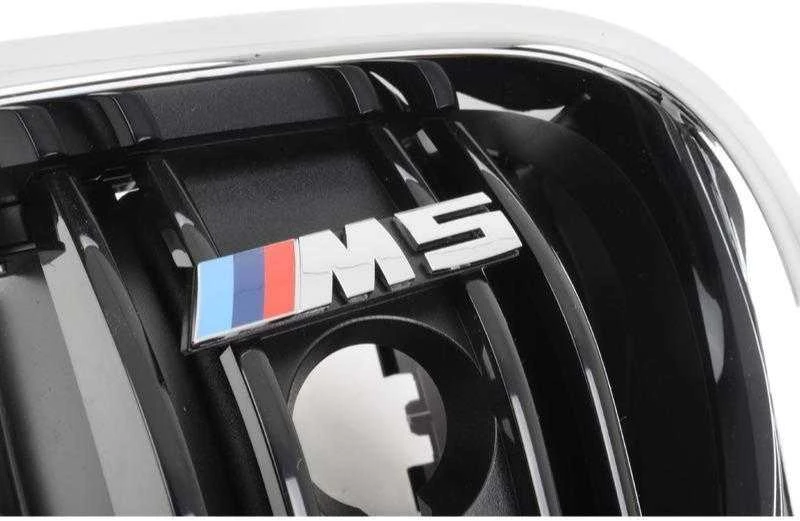 Priekinis Radiatoriaus Kidney Grilis M BMW 5 F10 51138057229