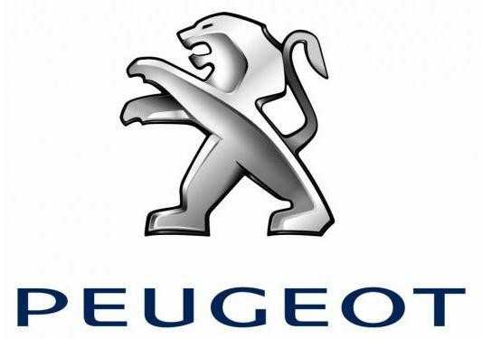 Psa Parts PEUGEOT 308 T7 Vandens vamzdis 1341K4 NAUJAS ORIGINALUS