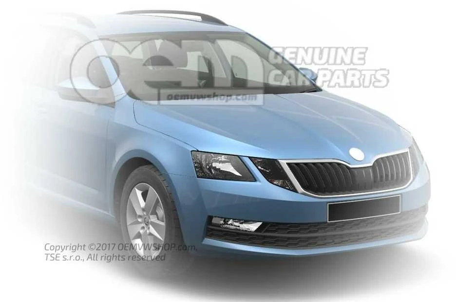 Skoda Aerosol Purškiklis Octavia III Superb II III Yeti Rapid Fabia III Originalus 3T0050200AQ5X
