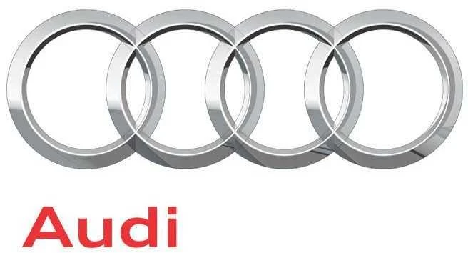 VAG AUDI A4 B8 priekinių žibintų plovimo sistemos T formos detalė originali 8K0955975A