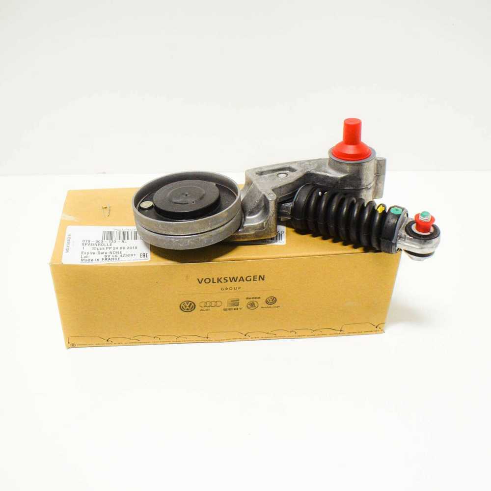 VAG Audi A6 A8 Q7 VW Touareg Hutchinson pavaros diržo įtempiklis su ritinėliu originalus 079903133A