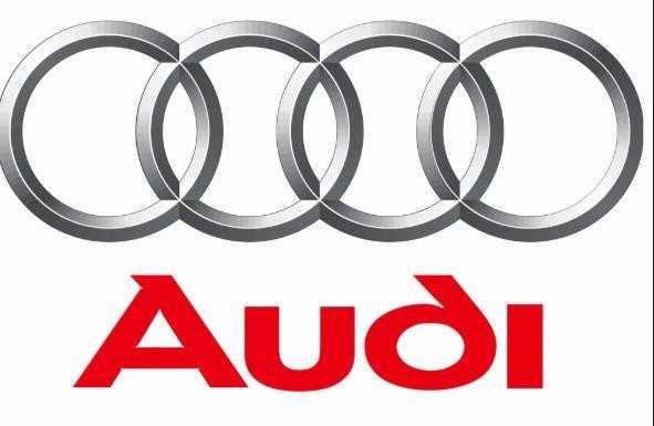 VAG AUDI Q5 8R Keltuvas 8R0011031K NAUJAS ORIGINALUS