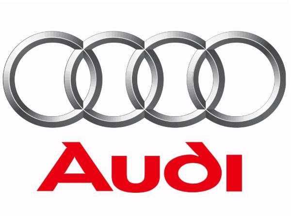 VAG AUDI R8 4S Facelift Priekinis Bamperio Grotelės 4S0853653FT94 NAUJAS ORIGINALUS
