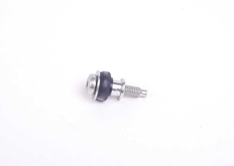 VAG "Audi" variklio vožtuvo dangčio varžtas originalus originalus 077103831E