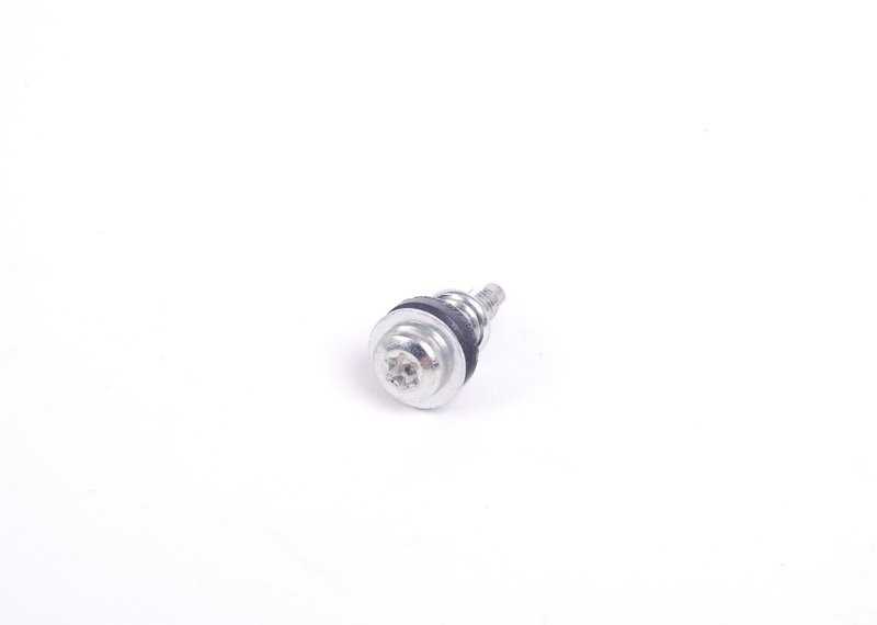 VAG "Audi" variklio vožtuvo dangčio varžtas originalus originalus 077103831E