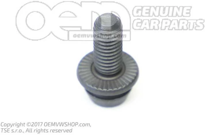 VAG Galvos Raktas Bolto N 90234201 Originalus N90649601