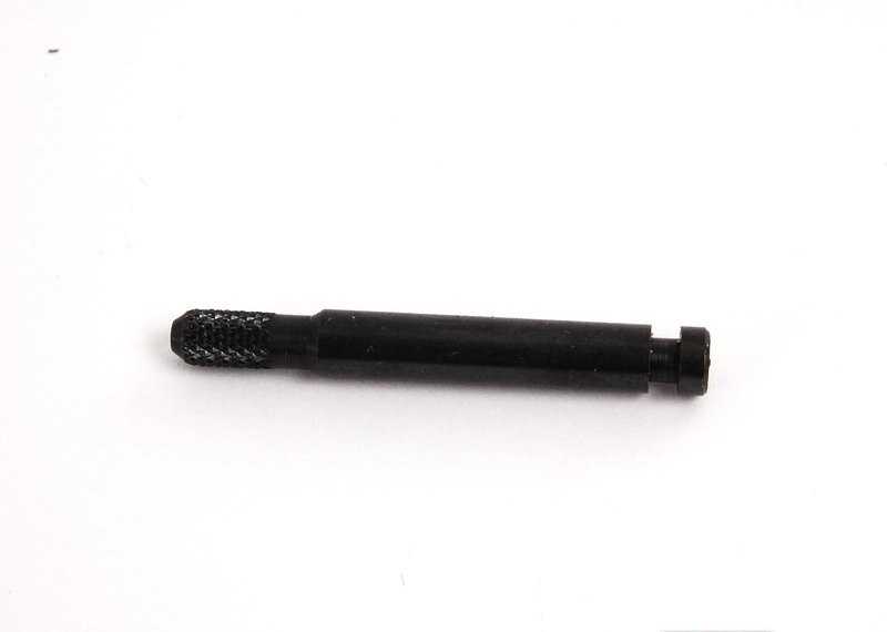 VAG Hinge pin 8E0857169
