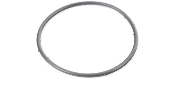 Vag O Ringas Volkswagen Caravelle Audi A6 076117069A