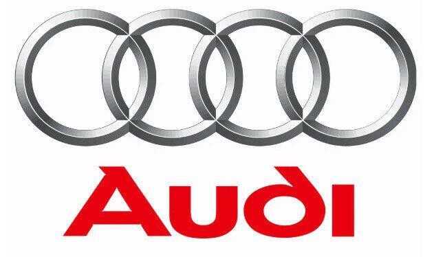 VAG OEM Audi A4 B6 stoglangio jungiklis 8E0959613A9NQ originalus