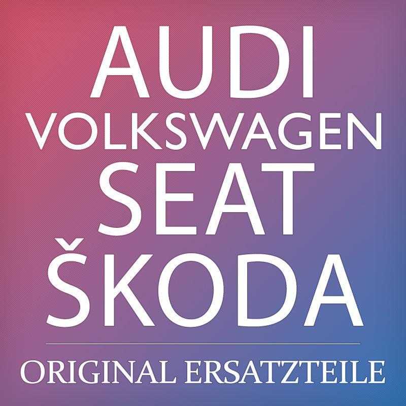 Vag Volkswagen Passat Variant 2006 2015 Support Natural Brown Originalus 3C9860285A3G4