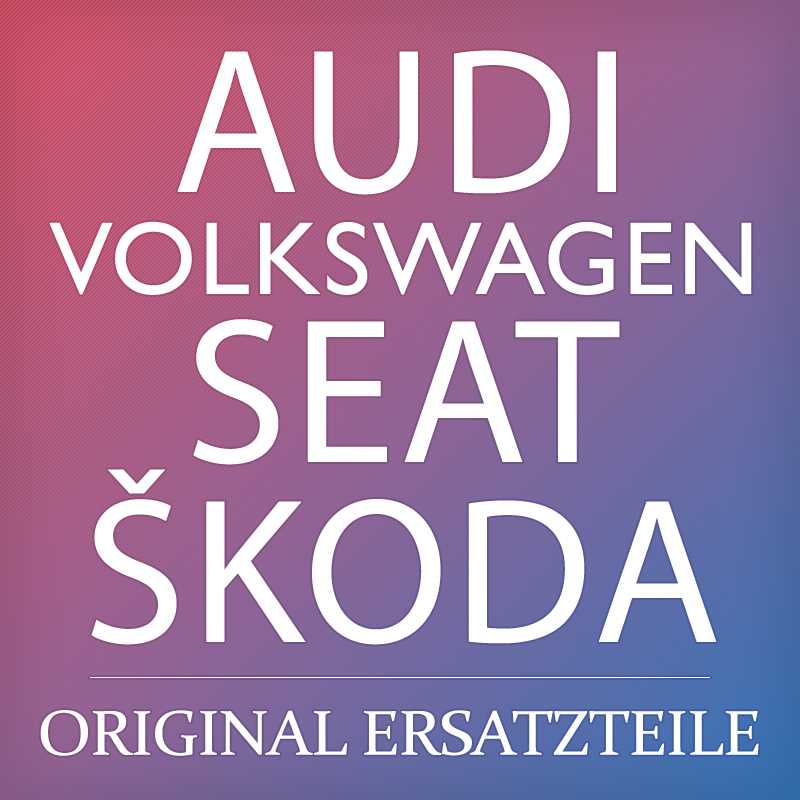 VAG VW AUDI SEAT SKODA Beetle Bettle Bora žarna originali N0202821