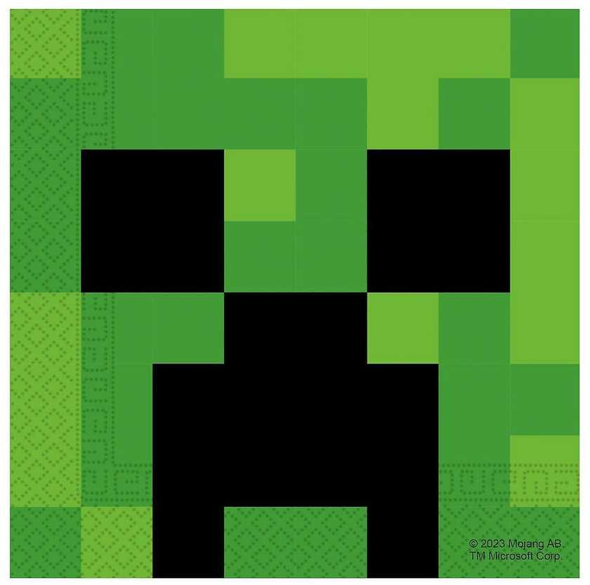 Vienkartinių indų rinkinys - MINECRAFT