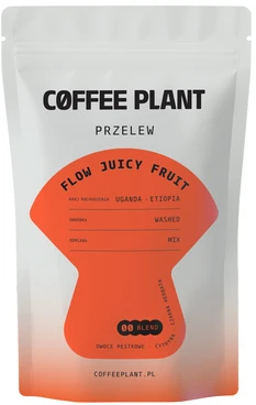 Coffee Plant KAVOS AUGALAS - Flow Juicy Fruit filtras 100g