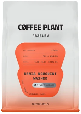 COFFEE PLANT - Kenya Nguguini Washed Filter 250 g