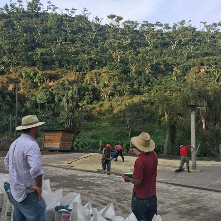 Johan & Nyström - Guatemala Wicho Valdes Santa Isabel Washed Filter 250 g