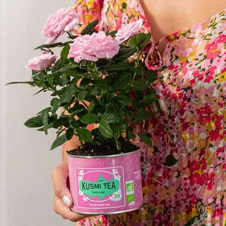 Kusmi Tea Žalias Rose arbata rožiniame indelyje