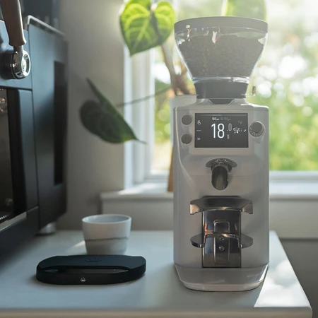 Kavamalė Aptel Mahlkönig E64 WS Home Coffee Grinder for Espresso - Baltas
