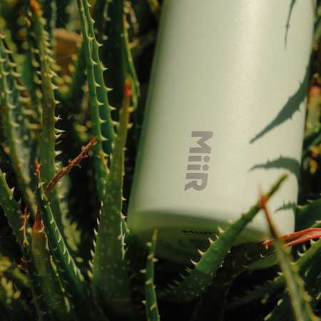 MiiR - 360 Traveller Coastal Cactus Žalias 350ml