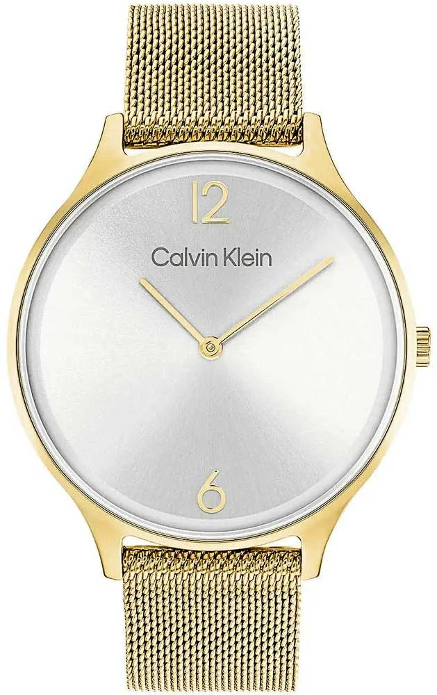 CALVIN KLEIN Nesenstantis tinklinis laikrodis moterims 25200003 + Dėžutė