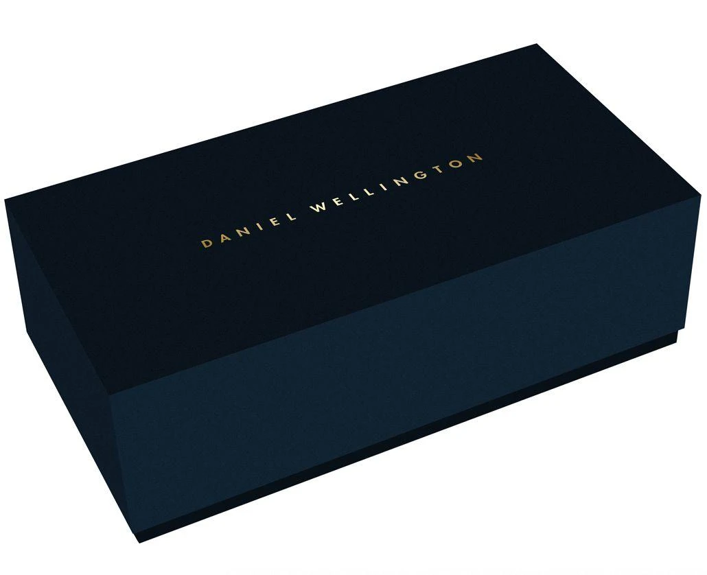 Laikrodis moterims Daniel Wellington DW00100211 - Iconic Link (zx706a)