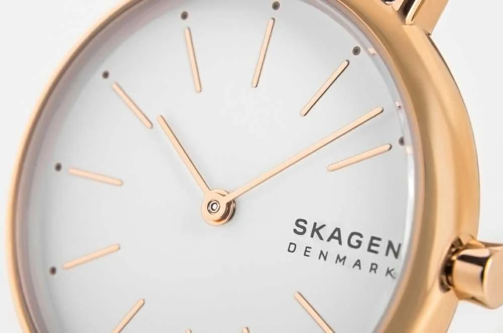 SKAGEN Signatur SKW2838 Moterims Laikrodis + Dėžutė