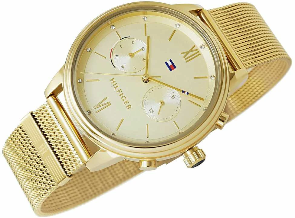 MOTERIŠKAS LAIKRODIS TOMMY HILFIGER BLAKE (zf515a)