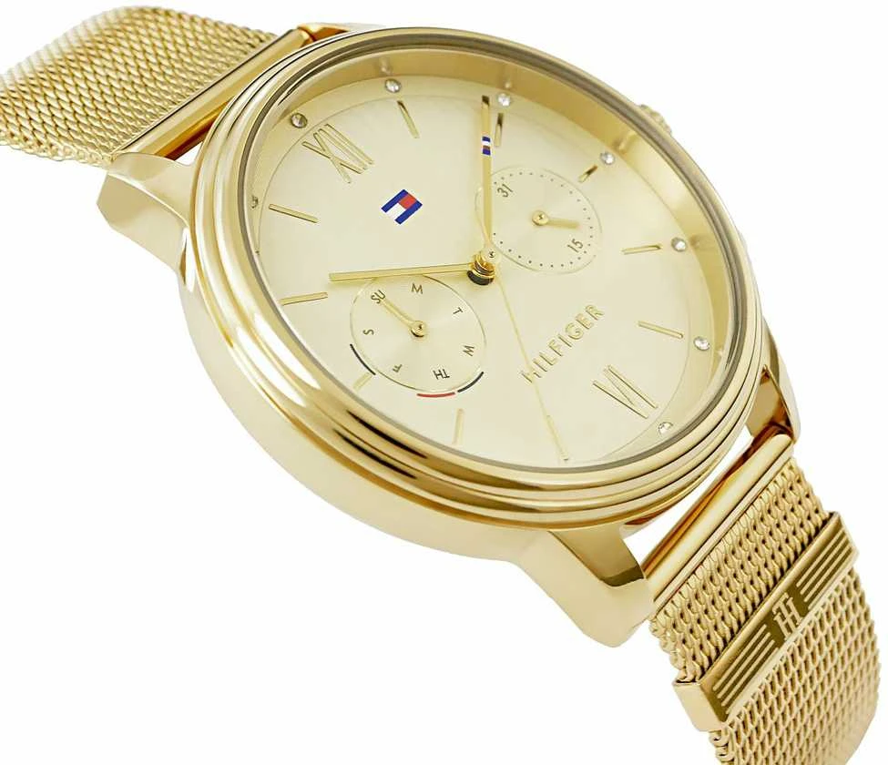 MOTERIŠKAS LAIKRODIS TOMMY HILFIGER BLAKE (zf515a)