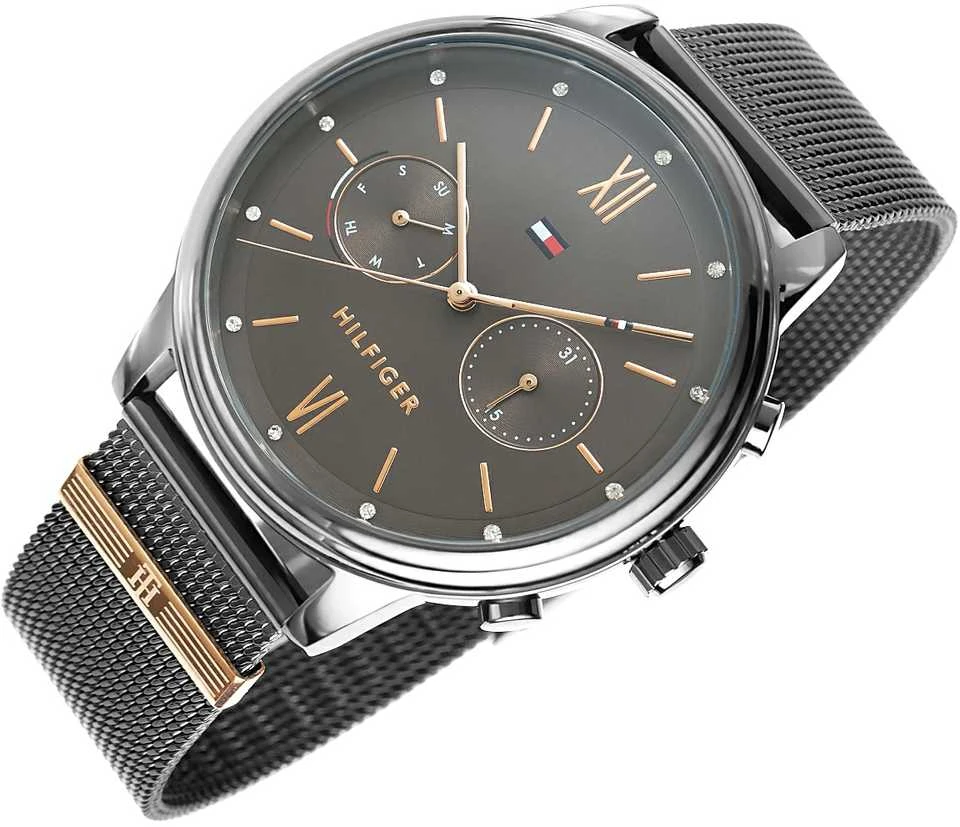 MOTERIŠKAS LAIKRODIS TOMMY HILFIGER BLAKE (zf515b)