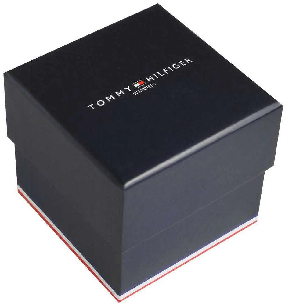 Vyriškas laikrodis TOMMY HILFIGER 1710413 DANIEL (zf009a) + BOX