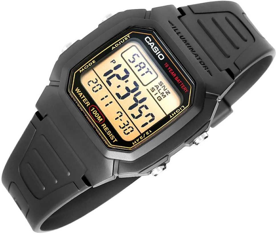 Casio W-800HG-9AVDF vyriškas laikrodis