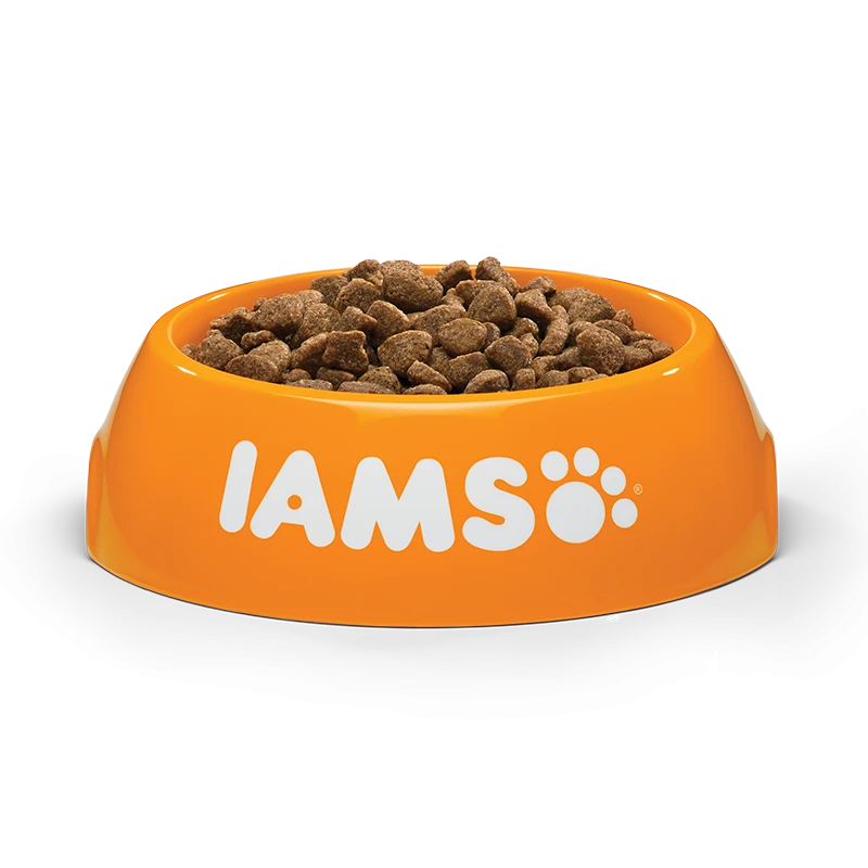 IAMS Adult Cat (vištiena) 10kg