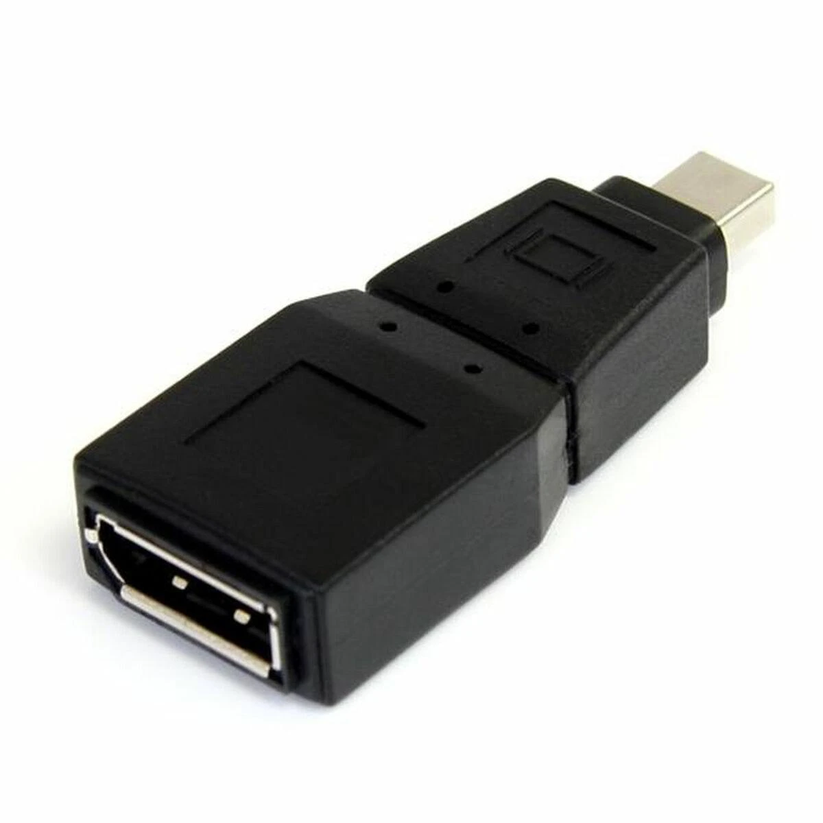 Mini DisplayPort į DisplayPort adapteris