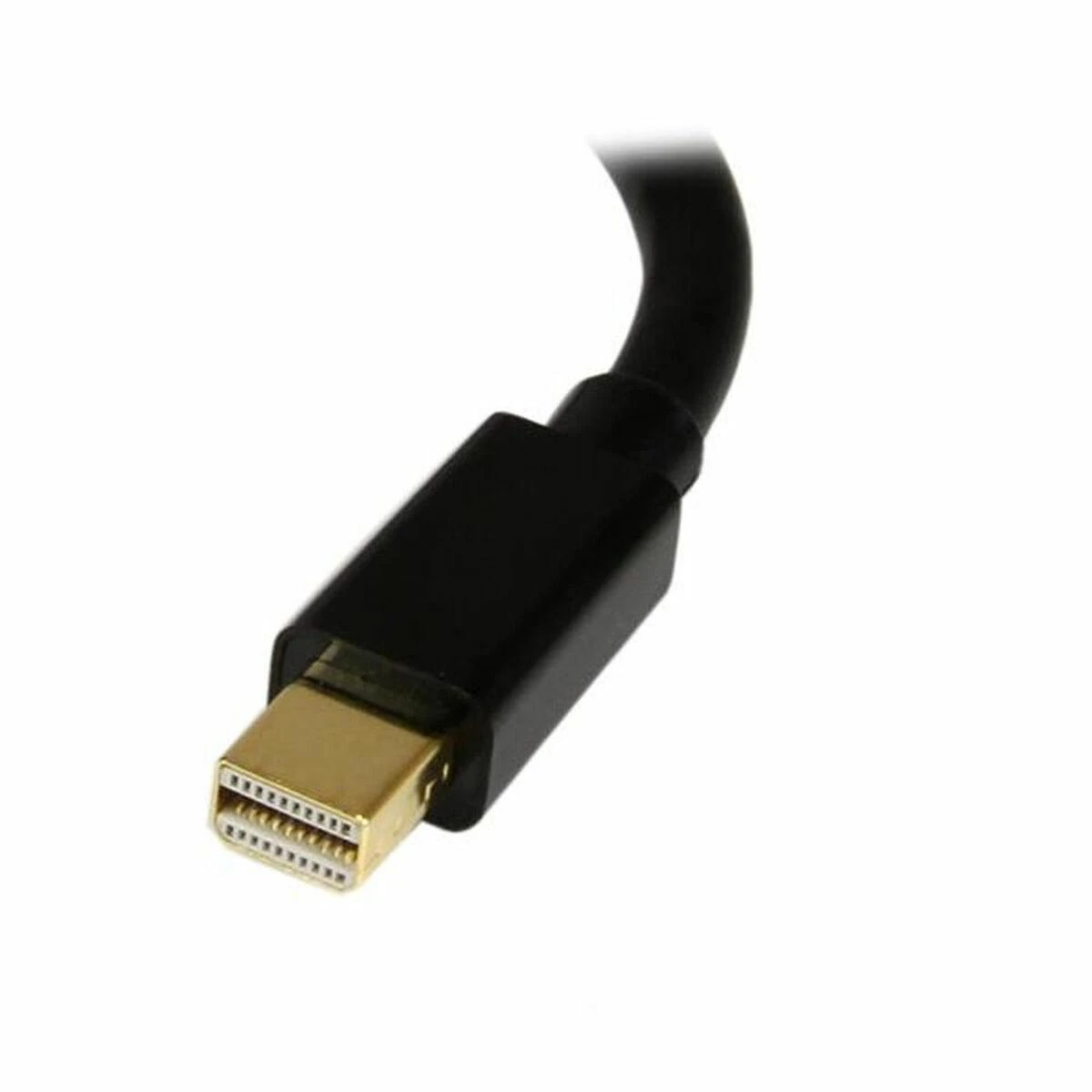 Adapteris AV StarTech DisplayPort Mini - DisplayPort juoda (MDP2DPMF6IN)